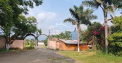 Nogales / 16 ha / Terreno en Venta (2401-300)