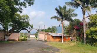 Nogales / 16 ha / Terreno en Venta (2401-300) Nogales / 16 ha / Terreno en Venta (2401-300)