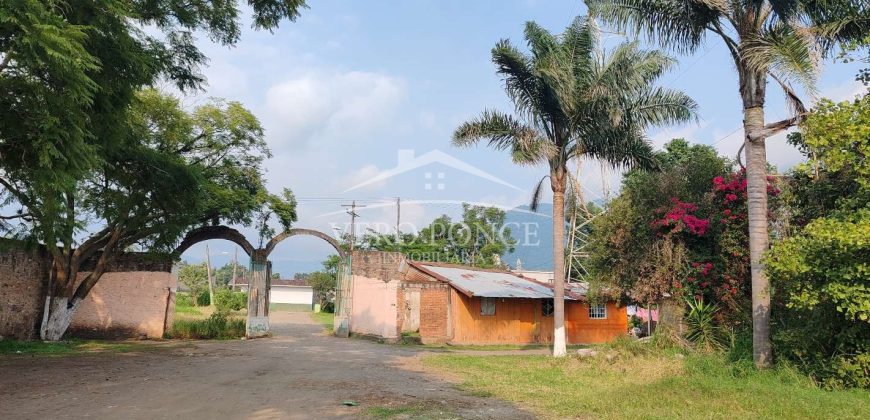 Nogales / 16 ha / Terreno en Venta (2401-300)