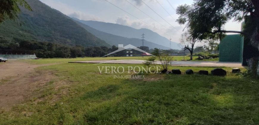 Nogales / 16 ha / Terreno en Venta (2401-300)