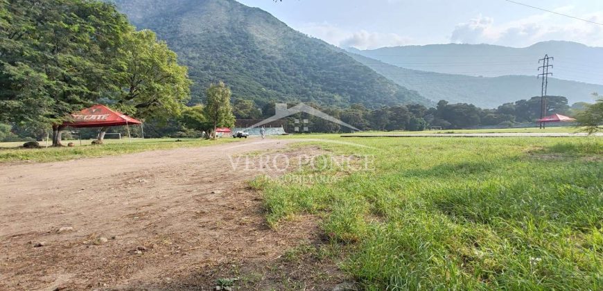 Nogales / 16 ha / Terreno en Venta (2401-300)