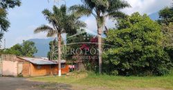 Nogales / 16 ha / Terreno en Venta (2401-300)