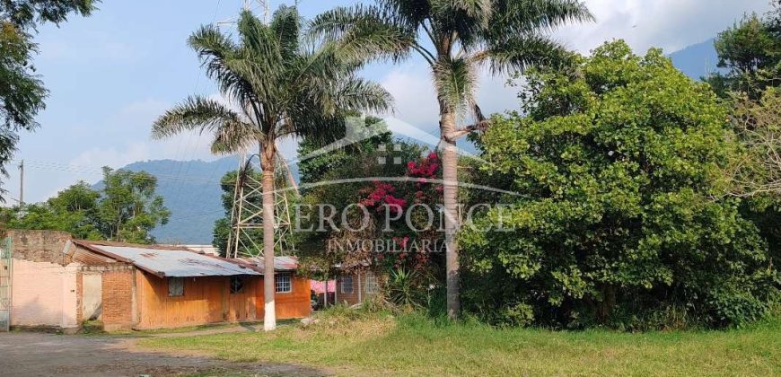 Nogales / 16 ha / Terreno en Venta (2401-300)