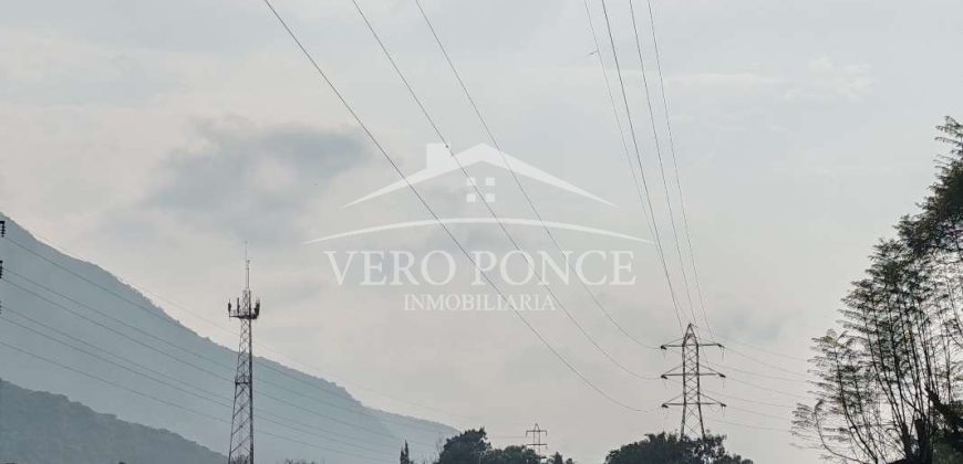 Nogales / 16 ha / Terreno en Venta (2401-300)