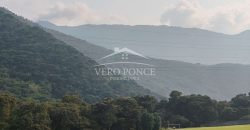 Nogales / 16 ha / Terreno en Venta (2401-300)