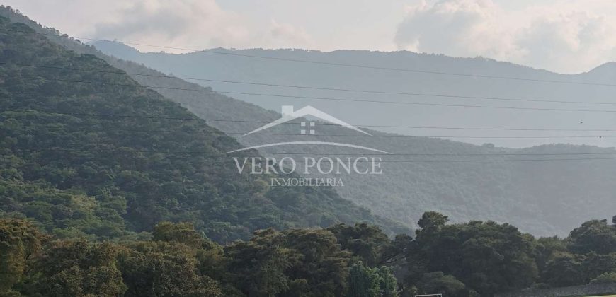 Nogales / 16 ha / Terreno en Venta (2401-300)