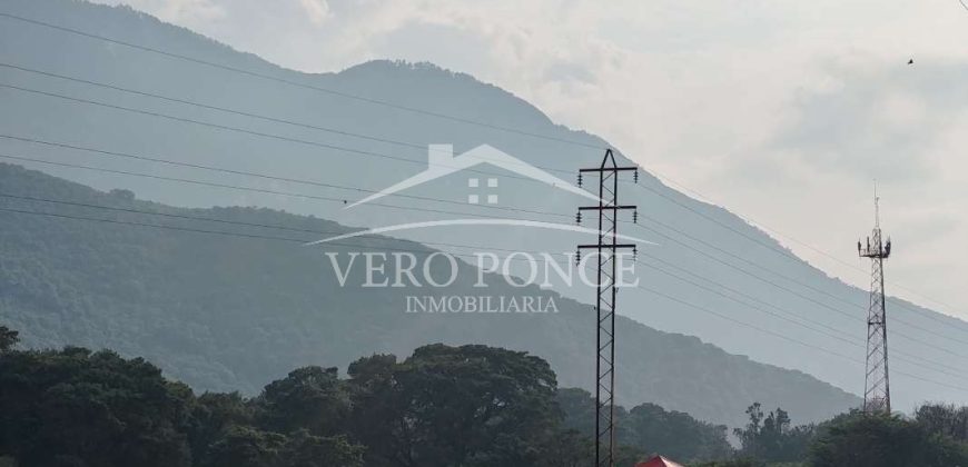 Nogales / 16 ha / Terreno en Venta (2401-300)