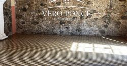 Centro // Local en Renta – 2501-002