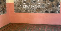 Centro // Local en Renta – 2501-002