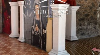 Centro // Local en Renta – 2501-002