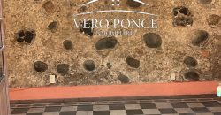 Centro // Local en Renta – 2501-002