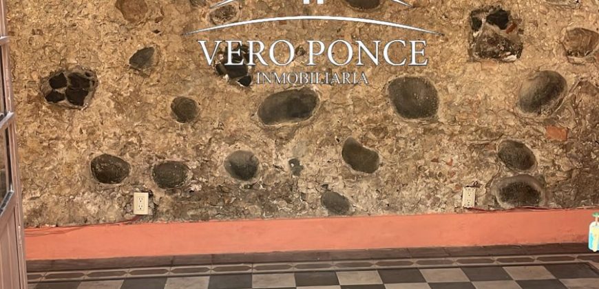 Centro // Local en Renta – 2501-002