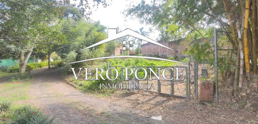 Venta Xalapa – 2501-008