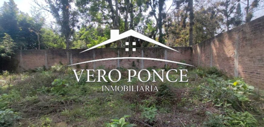 Venta Xalapa – 2501-008