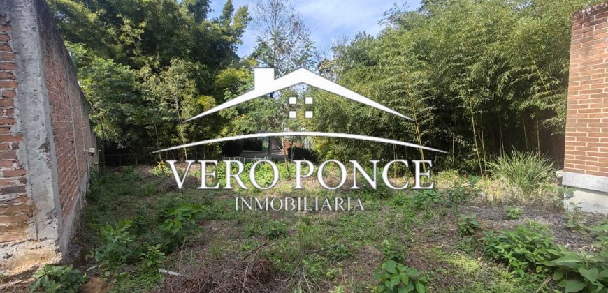 Venta Xalapa – 2501-008