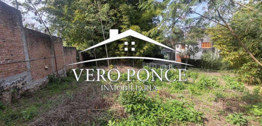 Venta Xalapa – 2501-008