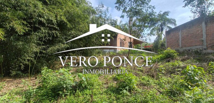 Venta Xalapa – 2501-008