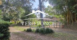 Venta Xalapa – 2501-008