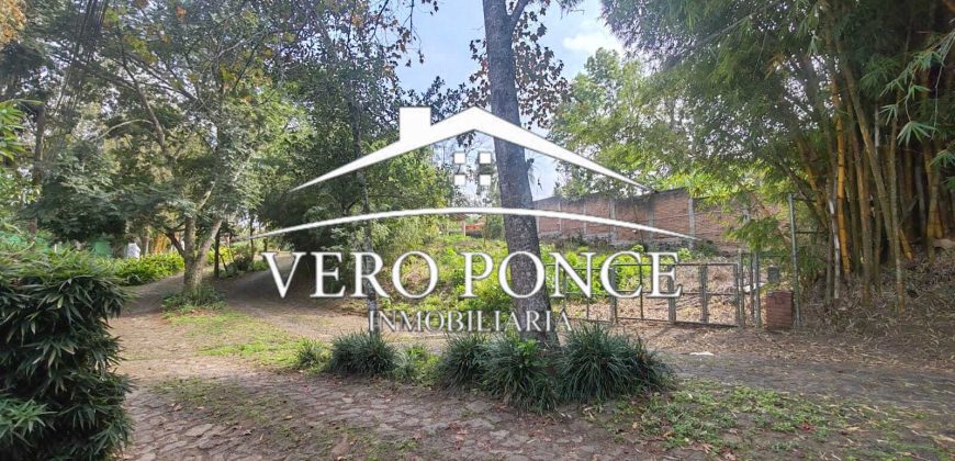 Venta Xalapa – 2501-008