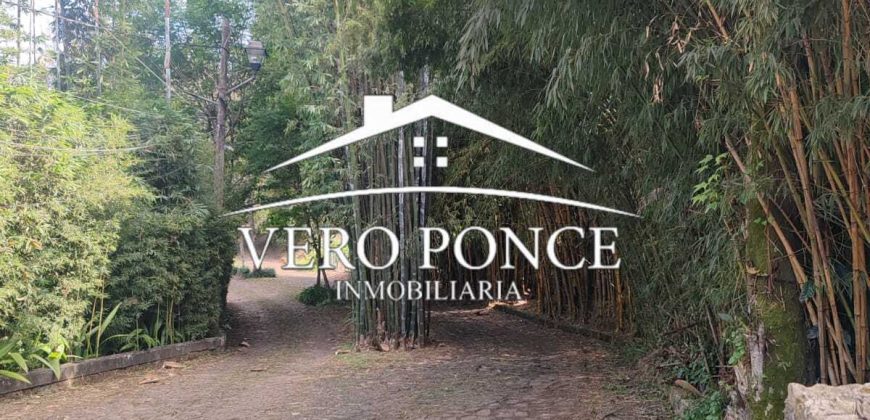 Venta Xalapa – 2501-008