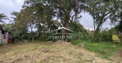 Terreno Venta Monte Salas – 2510 – 022