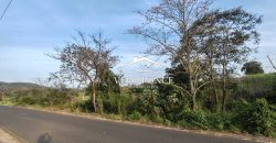 TERRENO – VENTA – ATOYAC – 2501 036