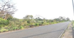 TERRENO – VENTA – ATOYAC – 2501 036