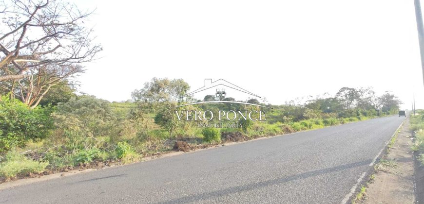 TERRENO – VENTA – ATOYAC – 2501 036