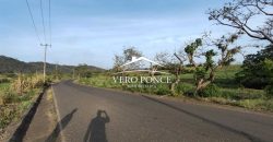 TERRENO – VENTA – ATOYAC – 2501 036