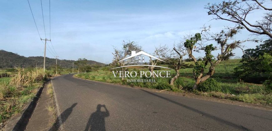 TERRENO – VENTA – ATOYAC – 2501 036