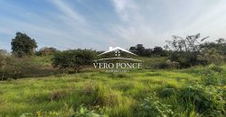 TERRENO – VENTA – ATOYAC – 2501 036