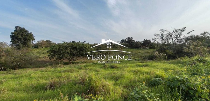 TERRENO – VENTA – ATOYAC – 2501 036