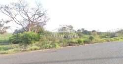 TERRENO – VENTA – ATOYAC – 2501 036