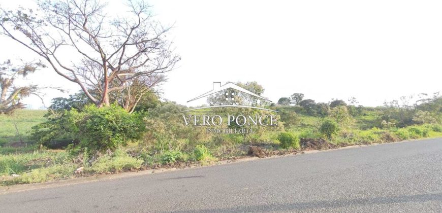 TERRENO – VENTA – ATOYAC – 2501 036