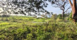 TERRENO – VENTA – ATOYAC – 2501 036