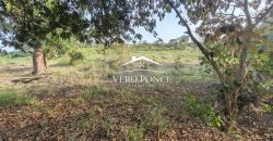 TERRENO – VENTA – ATOYAC – 2501 036