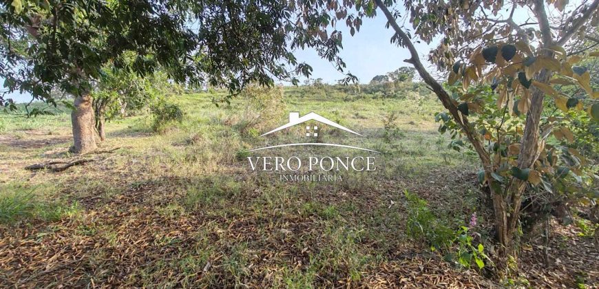 TERRENO – VENTA – ATOYAC – 2501 036