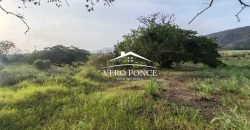 TERRENO – VENTA – ATOYAC – 2501 036