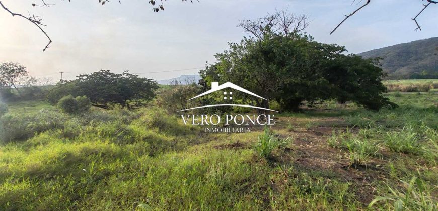 TERRENO – VENTA – ATOYAC – 2501 036