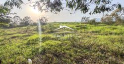 TERRENO – VENTA – ATOYAC – 2501 036