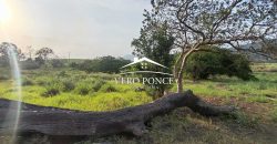 TERRENO – VENTA – ATOYAC – 2501 036