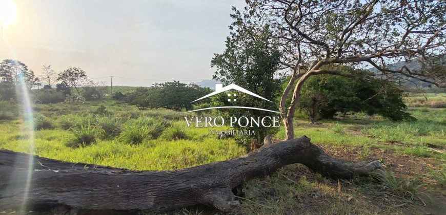 TERRENO – VENTA – ATOYAC – 2501 036