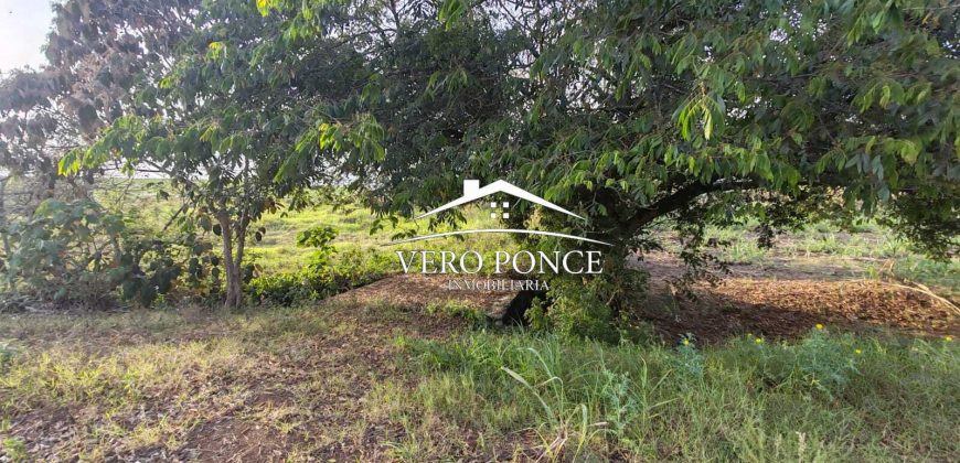 TERRENO – VENTA – ATOYAC – 2501 036