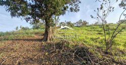 TERRENO – VENTA – ATOYAC – 2501 036