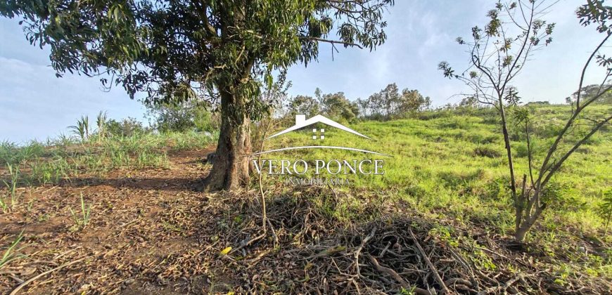 TERRENO – VENTA – ATOYAC – 2501 036