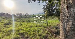TERRENO – VENTA – ATOYAC – 2501 036