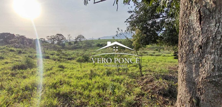 TERRENO – VENTA – ATOYAC – 2501 036