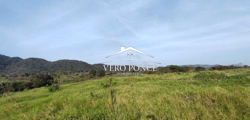 TERRENO – VENTA – ATOYAC – 2501 036
