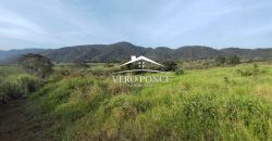 TERRENO – VENTA – ATOYAC – 2501 036