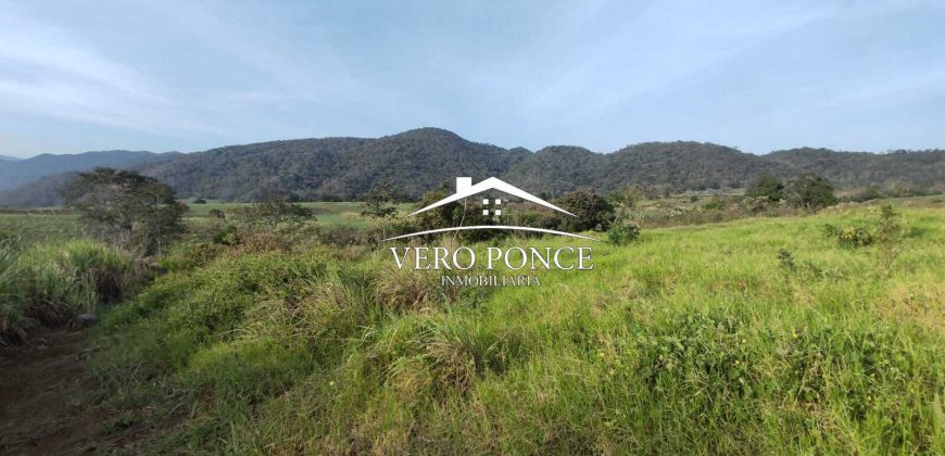 TERRENO – VENTA – ATOYAC – 2501 036